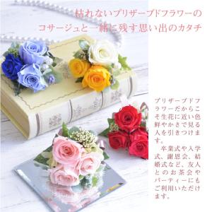プリザーブドフラワー コサージュ ギフト 入園...の詳細画像2