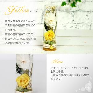 プリザーブドフラワー 誕生日 花 プレゼント ...の詳細画像3