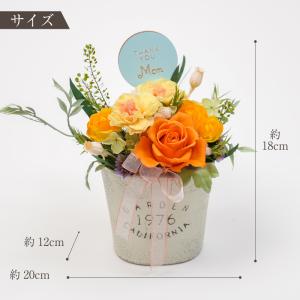 プリザーブドフラワー 花 かわいい 誕生日 プ...の詳細画像5