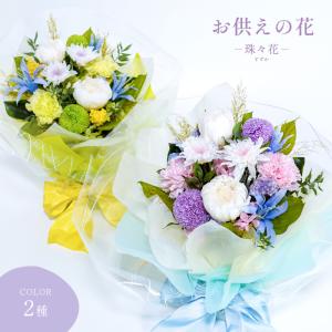 サウンドアレンジ 【楽天ランキング1位】ケース入りレインボー