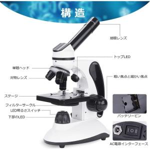 顕微鏡光学顕微鏡40~2000倍スライドセット...の詳細画像5