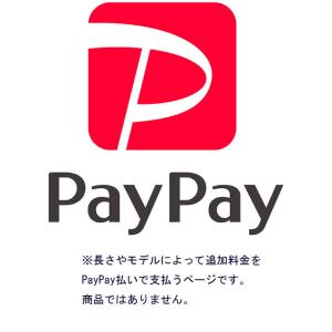 PayPay追加料金分