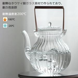 耐熱ガラス ティーポット 手作り 急須 ホウケ...の詳細画像4