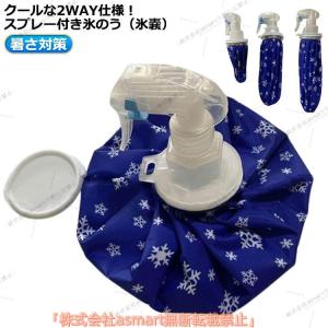 アイシングバッグ スプレー付き 氷嚢 氷のう ...の詳細画像1