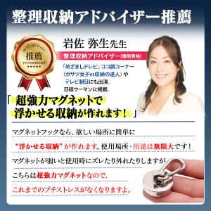 マグネットフック 強力 ネオジム磁石 カラビナ...の詳細画像1