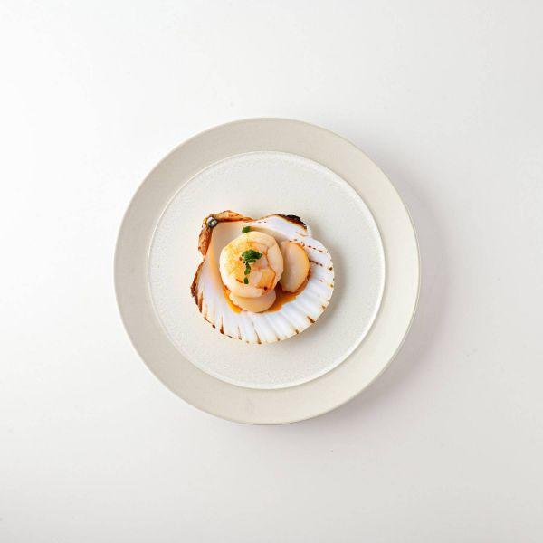 美濃焼 クラフトカーム ラスティックホワイト 21.5cmプレート　　日本製