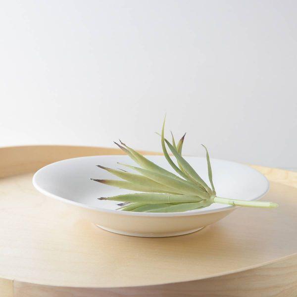 美濃焼 22.5cmソフトリム楕円スープ皿　　アウトレット訳あり品 日本製 訳あり品