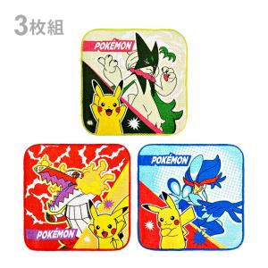 Pokemon（ポケモン） プチタオル 3枚組 PO462800 新入学文具 [M便 1/4