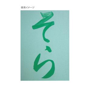 〔特売〕呉竹 水でお習字 半紙 KN37-10...の詳細画像2