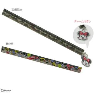 Disney（ディズニー） ミッキーマウス Mickey＆Friends 15cm定規 三角