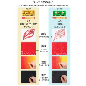 サクラクレパス 16色 ソフトケース入り LP...の詳細画像1