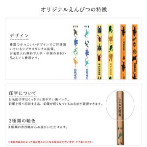 シブヤオリジナル鉛筆 2B 六角軸 12本組 ...の詳細画像1