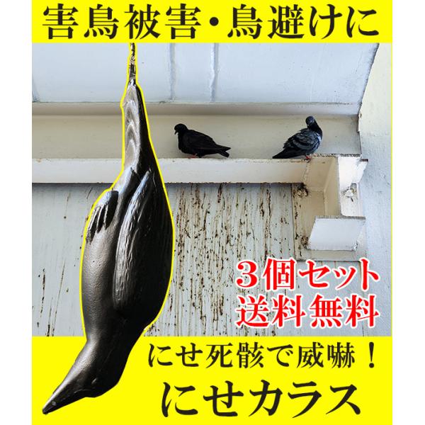 にせカラス ３個セット カラスよけ 鳥避け ハトよけ つばめ 鳥対策 防鳥対策 鳥撃退 吊り下げ　国...