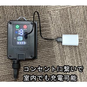 LED ソーラーライト イルミネーション サク...の詳細画像4