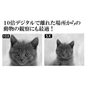 双眼鏡ナイトビジョン 暗視スコープ 録画 昼夜...の詳細画像2