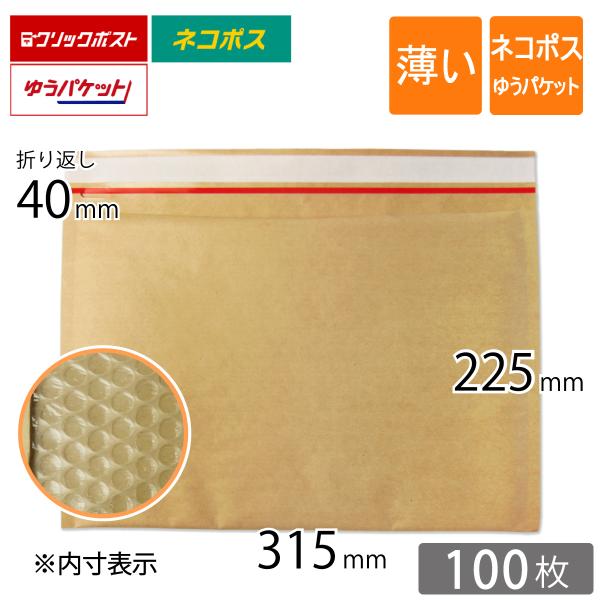 薄い クッション封筒 ネコポス ゆうパケット最大 クリックポスト 旧クリックポスト最大 内寸315×...
