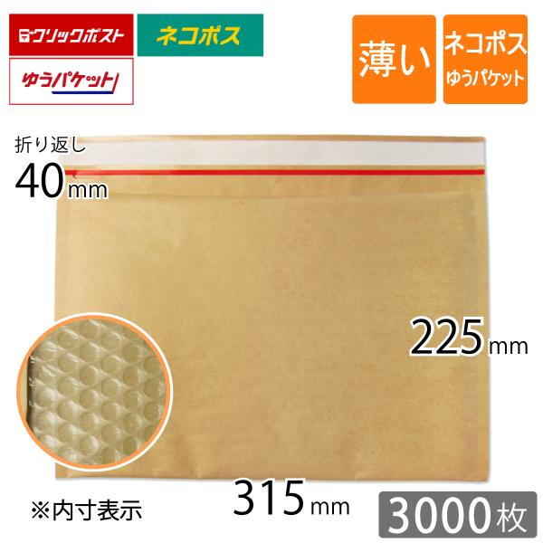 薄い クッション封筒 ネコポス ゆうパケット最大 クリックポスト 旧クリックポスト最大 内寸315×...