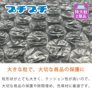 【2巻】【送料無料】特大粒プチプチ #80 4...の詳細画像3