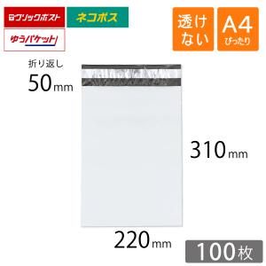宅配ビニール袋 A4ぴったり 幅220×高さ31...の商品画像
