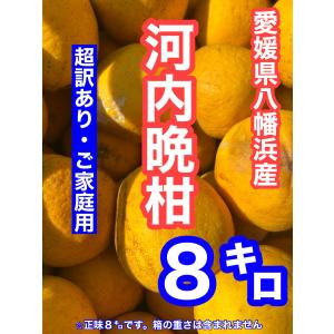 愛媛県八幡浜産 河内晩柑8キロ 超訳あり・ご家庭用・ご家庭用S〜 3L以上 箱の重さは含まれません｜プチとくFruits