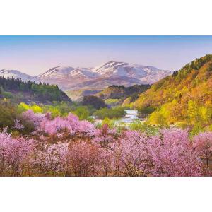 ジグソーパズル 1000ピース 春茜 月山と大山桜 山形 日本風景 アップルワン 1000-910