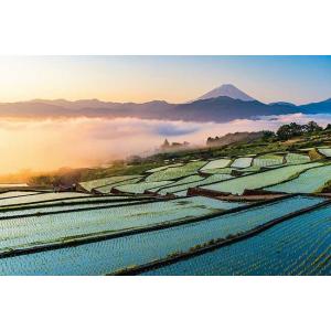 アートジグソー「貴希（タカキ）／フェニックス〜幸運の翼〜」1000P