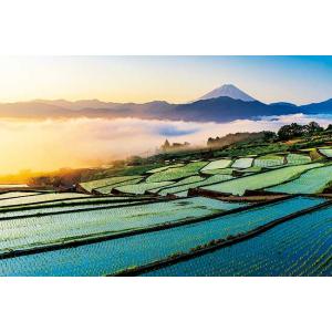 アップルワン（APPLEONE） ジグソーパズル 1000ピース 朝焼けの富士と