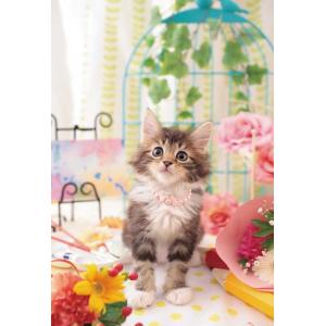ジグソーパズル 300ピース うるふわにゃんこ 猫 動物写真 アップルワン 300-400