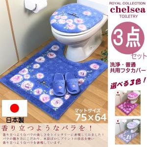 トイレマット 3点セット (約64×75cm) ロング トイレマット + ドレニモ