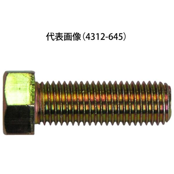 Ｓボルト　クロメート　６×３５　100個入 /n4312-635