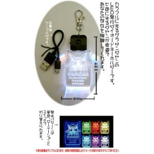ダヤンGoods・ＬＥＤキーホルダー　サングラス【完売しだい終了】
