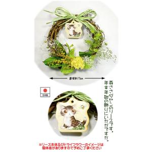わちふぃーるどダヤン・ナチュラルリース　森のささやき