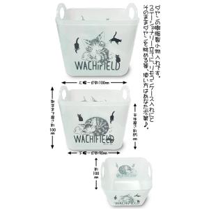 わちふぃーるど（WachiField） わちふぃーるどダヤン・メヒコランプ