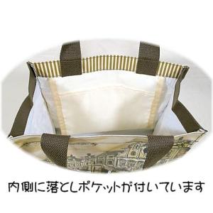 わちふぃーるどダヤン・ミニレッスンバッグ チェ...の詳細画像1