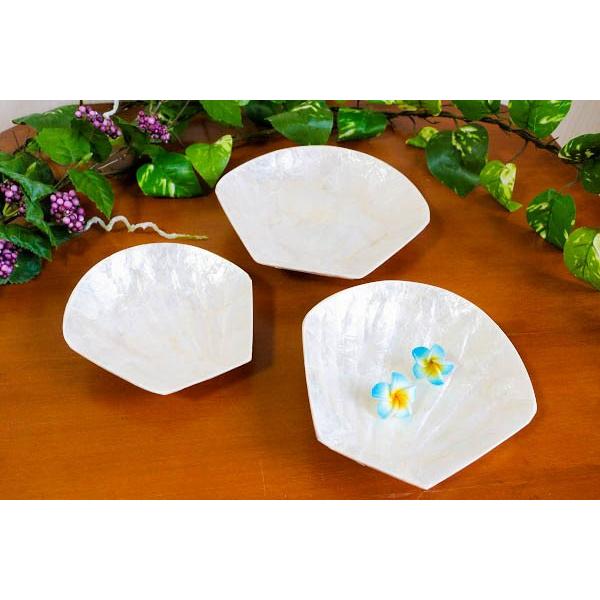 シェル　小物入れ3点セット（貝）　アジアン　バリ　雑貨　