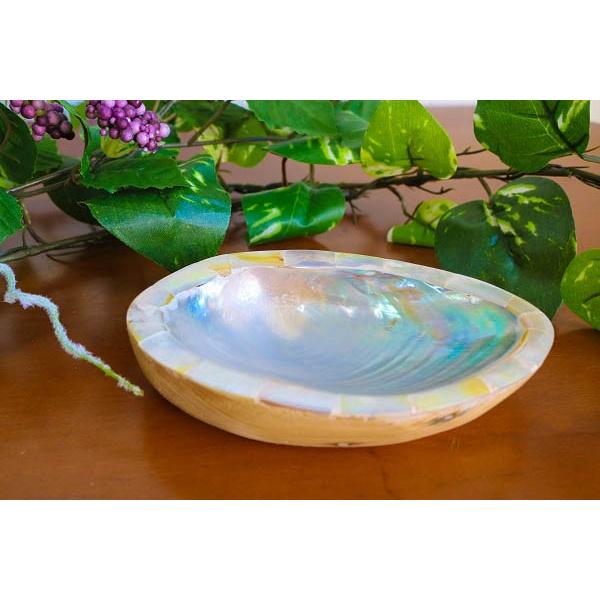 小物入れ　石鹸置き　シェル　（Ｌ）　アジアン　バリ　雑貨　