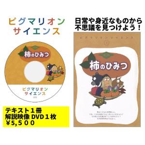 ピグマリオンサイエンス2／柿のひみつ｜pygli