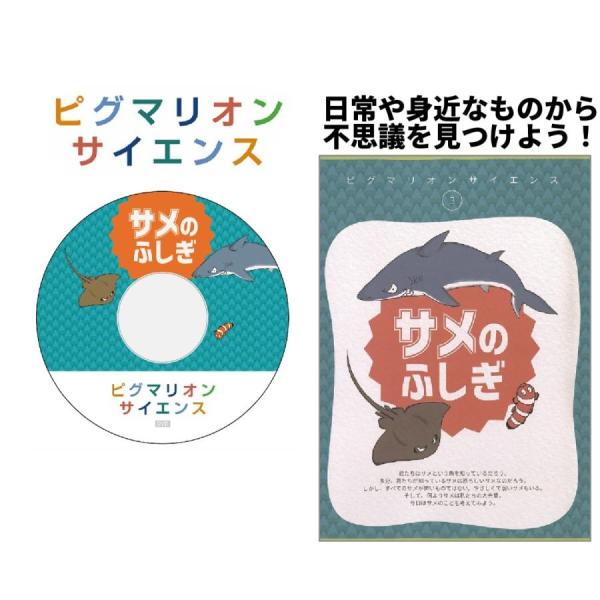 3 サメのふしぎ