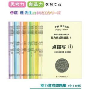 ピグマリオン　ドット棒　新品未使用 個別商品追加 ピグマリオン 幼児家庭学習