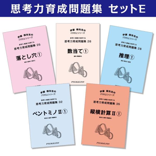 【6歳児~】　思考力パズル　思考力育成問題集 セットE