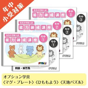 ドット棒C型（箱入り）＋ドット棒C型の使い方 : ピグマリオン