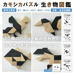 ペリカンパズル学具お手本集セット : ピグマリオンショップ - 通販