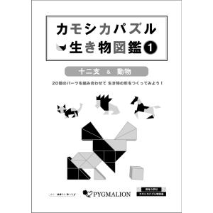 3才児のさんすう : ピグマリオンショップ - 通販 - Yahoo!ショッピング