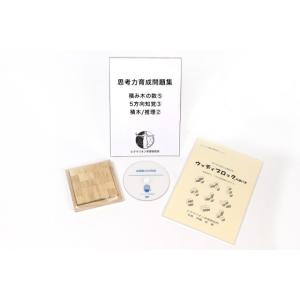 無料長期保証 ピグマリオンの家庭学習教材 ポイント学習 空間能力の育成 年長 小３ Rdginstitutions Com