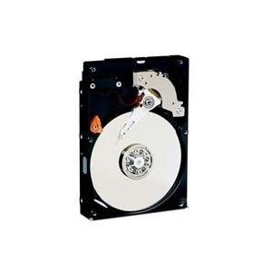 特別価格Western Digital 500 GB RE2 SATA 3 Gb/s 7200 RPM 16 MB Cache Bulk/OEM Enterp好評販売中｜pyonkichishouten