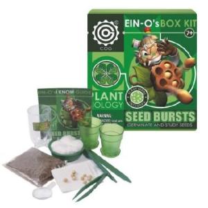 Seed Burst Box Kit｜pyonkichishouten