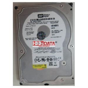 WESTERN DIGITAL WD1600YS-01SHB1 DCM DSBHNT2CH 160GB｜pyonkichishouten