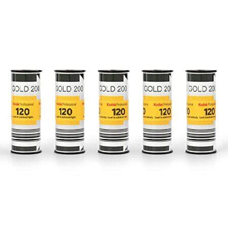 特別価格Kodak カラーネガティブフィルム GOLD 200 120 5本パック 1075597好...