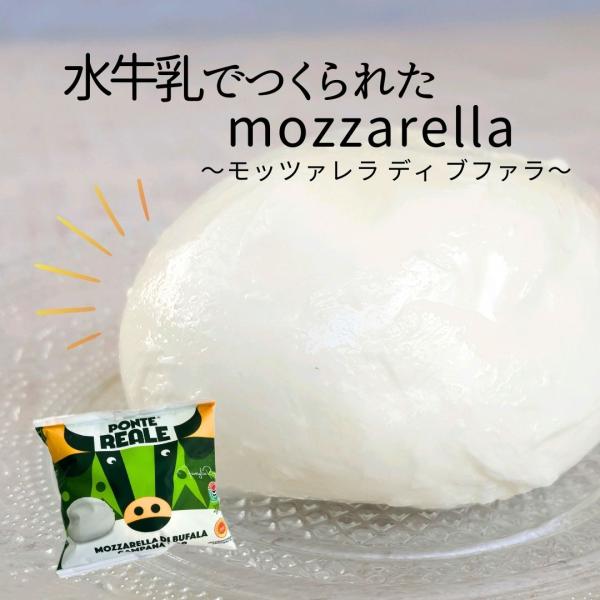 6月10日賞味期限 【 モッツァレラ ディ ブーファラ 1個 (125g) 】 水牛 モツァレラ イ...
