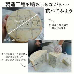 【 ゴルゴンゾーラ ピカンテ 140g〜150...の詳細画像2